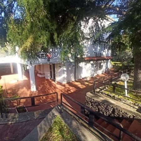 Villa Lia - Ischia Porto Ngoại thất bức ảnh