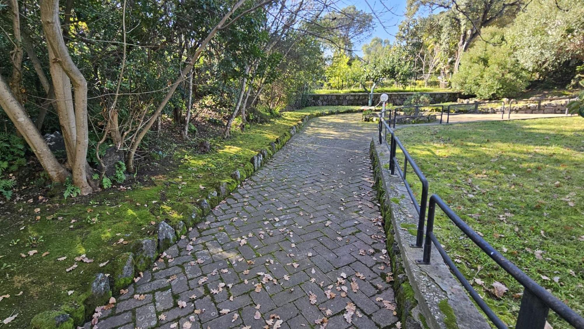 Villa Lia - Ischia Porto Ngoại thất bức ảnh